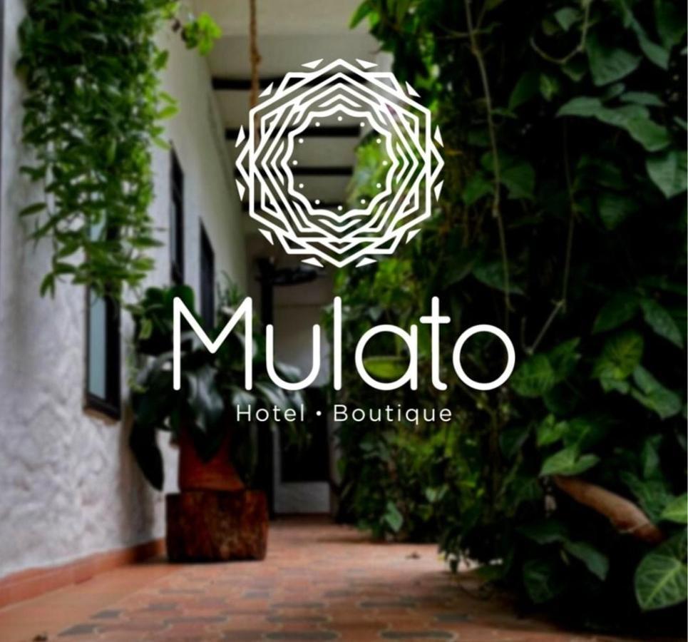 Hotel Mulato Эль-Колехио Экстерьер фото
